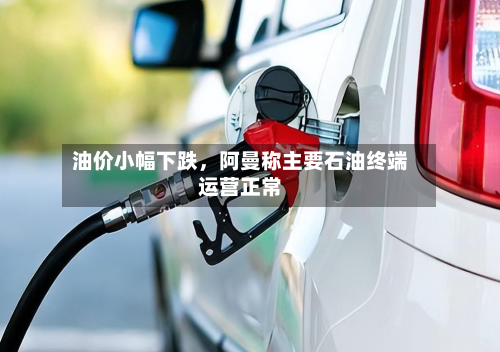 油价小幅下跌，阿曼称主要石油终端运营正常-第2张图片