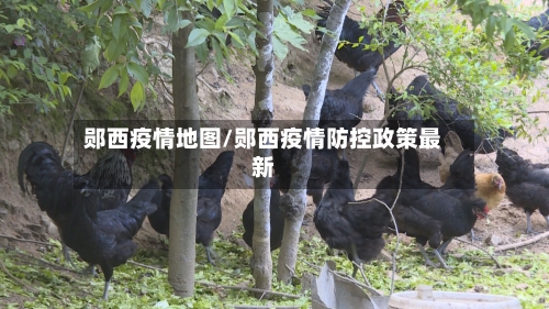 郧西疫情地图/郧西疫情防控政策最新