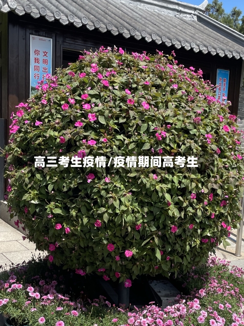 高三考生疫情/疫情期间高考生