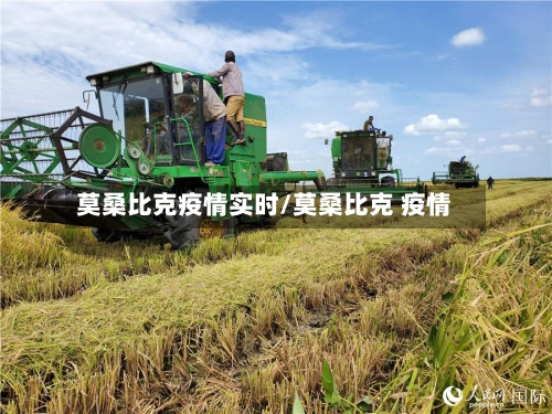 莫桑比克疫情实时/莫桑比克 疫情