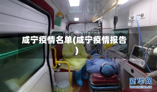咸宁疫情名单(咸宁疫情报告)-第2张图片