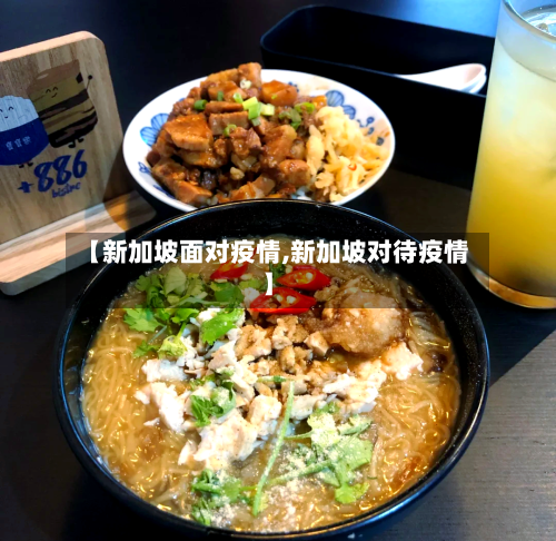 【新加坡面对疫情,新加坡对待疫情】-第2张图片