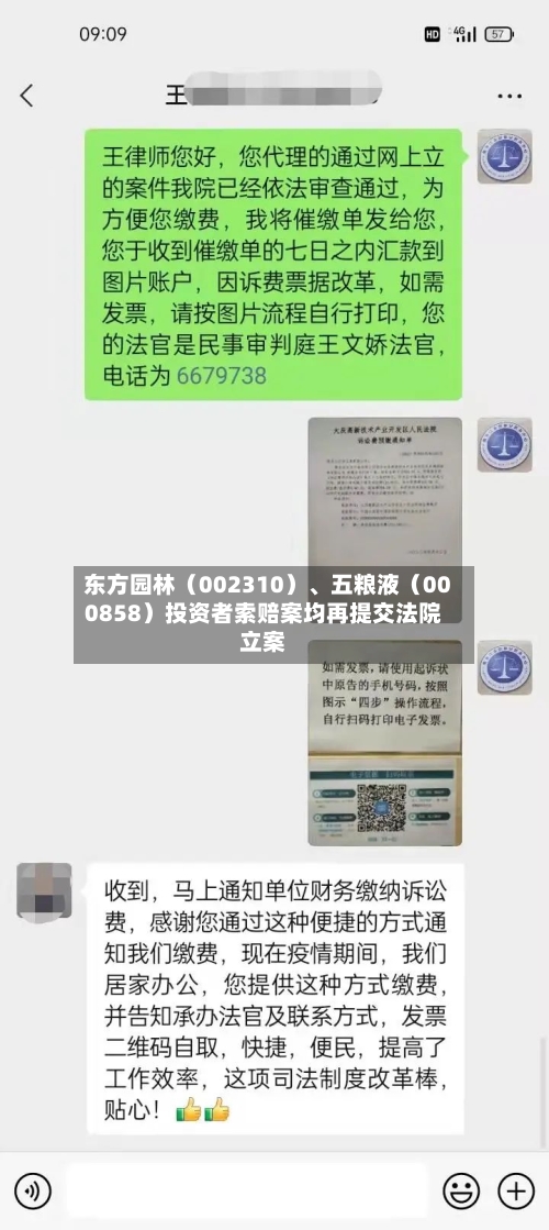 东方园林（002310）	、五粮液（000858）投资者索赔案均再提交法院立案-第2张图片