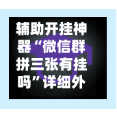 辅助开挂神器“微信群拼三张有挂吗	”详细外挂透视辅助软件教程-第2张图片
