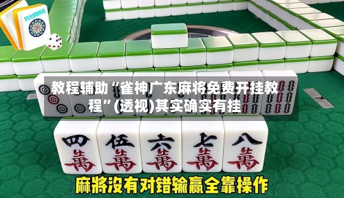 教程辅助“雀神广东麻将免费开挂教程”(透视)其实确实有挂-第3张图片
