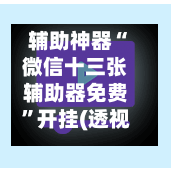 辅助神器“微信十三张辅助器免费”开挂(透视)最新辅助详细-第2张图片
