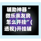 辅助神器“微乐亲友房怎么开挂”(透视)开挂辅助脚本+详细开挂安装教程-第3张图片