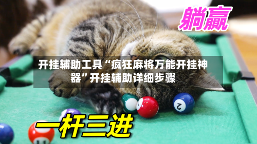 开挂辅助工具“疯狂麻将万能开挂神器”开挂辅助详细步骤-第2张图片