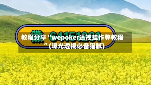教程分享“wepoker透视挂作弊教程”(曝光透视必备猫腻)-第2张图片
