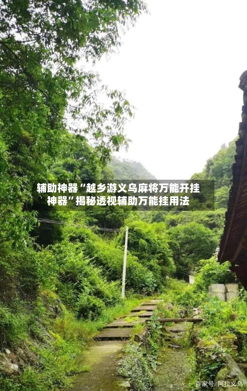 辅助神器“越乡游义乌麻将万能开挂神器	”揭秘透视辅助万能挂用法-第2张图片