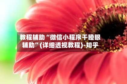 教程辅助“微信小程序干瞪眼辅助”(详细透视教程)-知乎-第2张图片