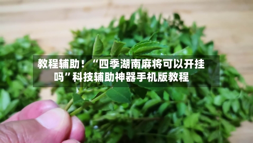 教程辅助！“四季湖南麻将可以开挂吗”科技辅助神器手机版教程-第2张图片