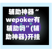 辅助神器“wepoker有辅助吗”(辅助神器)开挂详细教程-第2张图片