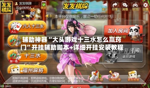辅助神器“大头游戏十三水怎么赢窍门”开挂辅助脚本+详细开挂安装教程-第2张图片