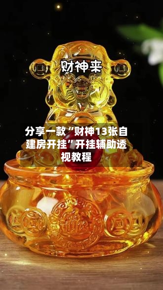 分享一款“财神13张自建房开挂”开挂辅助透视教程