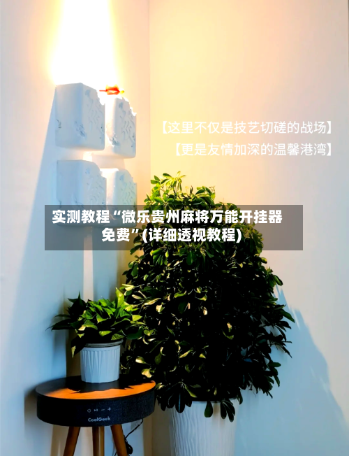 实测教程“微乐贵州麻将万能开挂器免费”(详细透视教程)-第2张图片