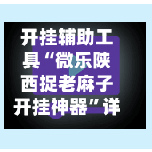 开挂辅助工具“微乐陕西捉老麻子开挂神器”详细分享装挂步骤教程-第3张图片