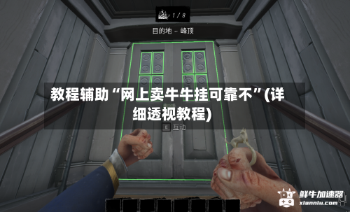 教程辅助“网上卖牛牛挂可靠不”(详细透视教程)-第2张图片