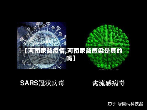 【河南家禽疫情,河南家禽感染是真的吗】-第3张图片