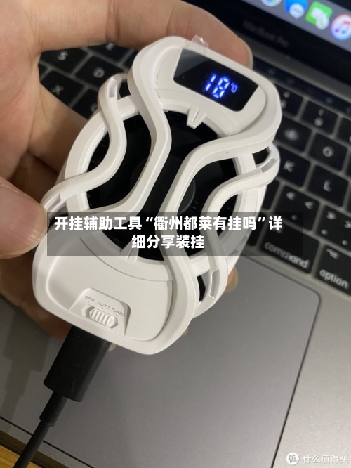 开挂辅助工具“衢州都莱有挂吗	”详细分享装挂-第2张图片