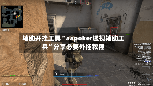 辅助开挂工具“aapoker透视辅助工具”分享必要外挂教程-第3张图片