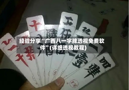 经验分享“广西八一字牌透视免费软件	”(详细透视教程)-第2张图片