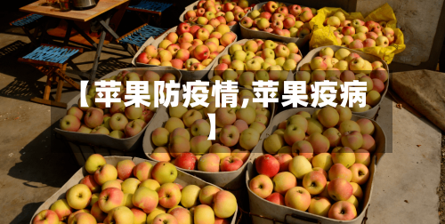 【苹果防疫情,苹果疫病】-第2张图片