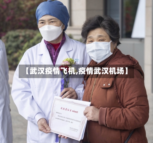 【武汉疫情飞机,疫情武汉机场】-第3张图片