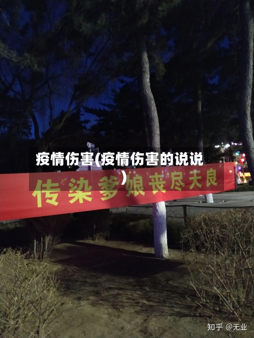 疫情伤害(疫情伤害的说说)
