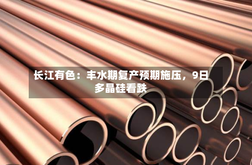 长江有色：丰水期复产预期施压，9日多晶硅看跌-第2张图片