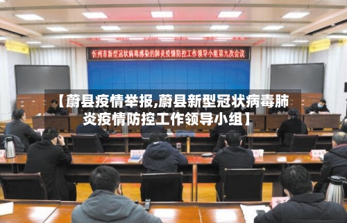 【蔚县疫情举报,蔚县新型冠状病毒肺炎疫情防控工作领导小组】-第2张图片