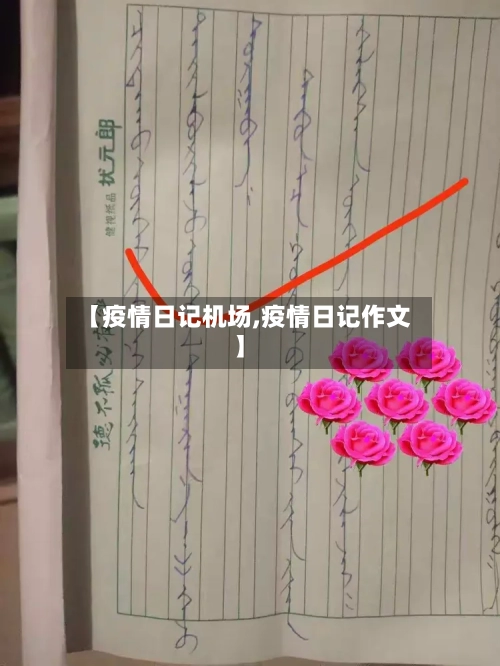 【疫情日记机场,疫情日记作文】-第2张图片