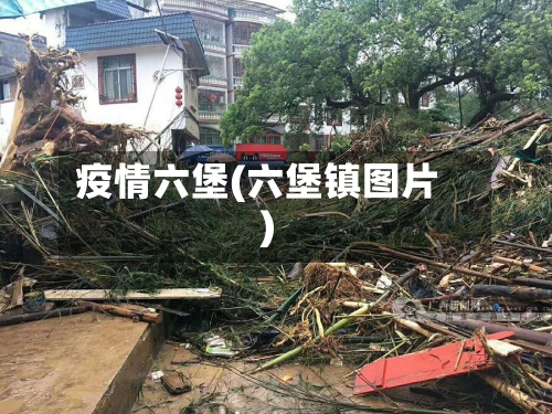 疫情六堡(六堡镇图片)