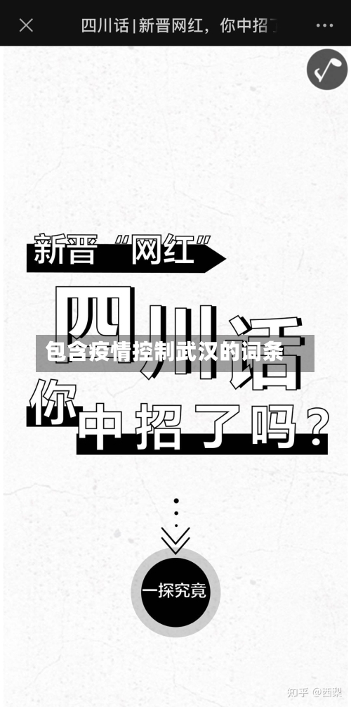 包含疫情控制武汉的词条