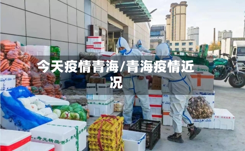 今天疫情青海/青海疫情近况-第2张图片