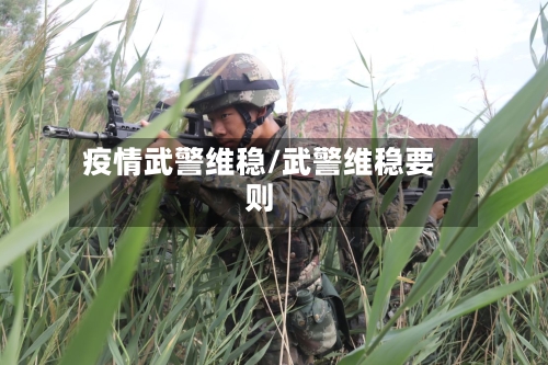 疫情武警维稳/武警维稳要则-第2张图片