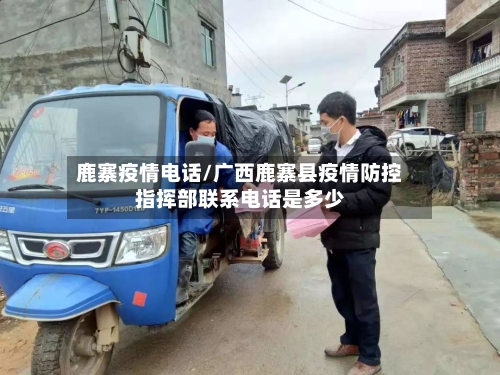 鹿寨疫情电话/广西鹿寨县疫情防控指挥部联系电话是多少-第3张图片