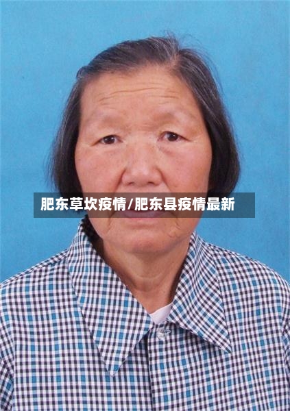 肥东草坎疫情/肥东县疫情最新