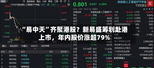 “易中天”齐聚港股？新易盛筹划赴港上市，年内股价涨超79%-第2张图片