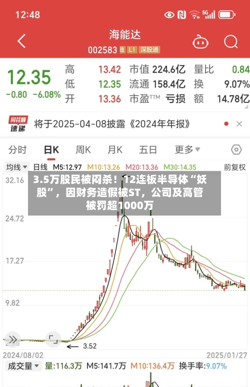 3.5万股民被闷杀！12连板半导体“妖股”	，因财务造假被ST，公司及高管被罚超1000万-第2张图片