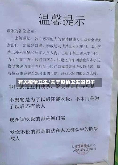 有关疫情卫生/关于疫情卫生的句子-第2张图片