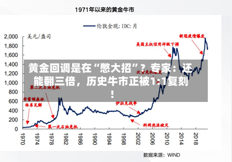 黄金回调是在“憋大招	”？专家：还能翻三倍	，历史牛市正被1:1复刻！-第2张图片