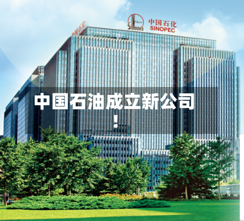 中国石油成立新公司！