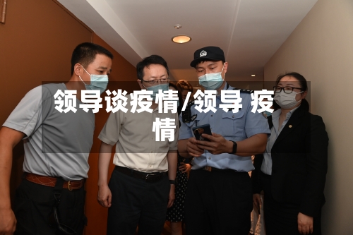 领导谈疫情/领导 疫情