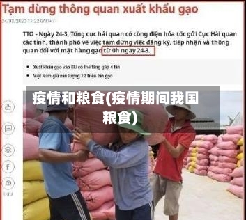 疫情和粮食(疫情期间我国粮食)
