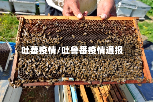 吐蕃疫情/吐鲁番疫情通报-第2张图片