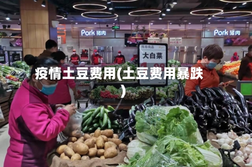 疫情土豆费用(土豆费用暴跌)