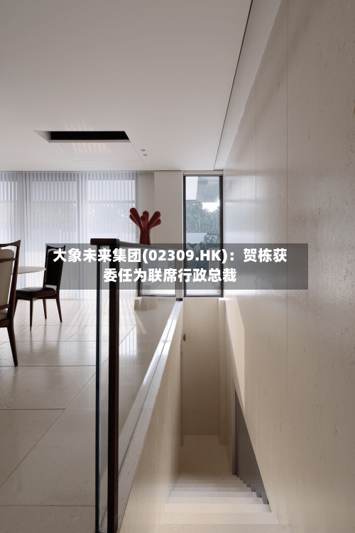 大象未来集团(02309.HK)：贺栋获委任为联席行政总裁