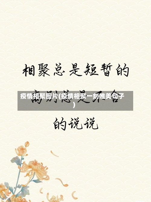 疫情相聚图片(疫情相聚一刻唯美句子)-第2张图片