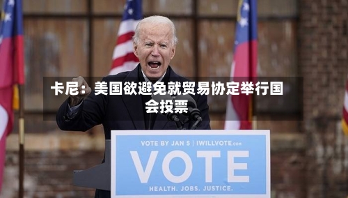 卡尼：美国欲避免就贸易协定举行国会投票-第2张图片